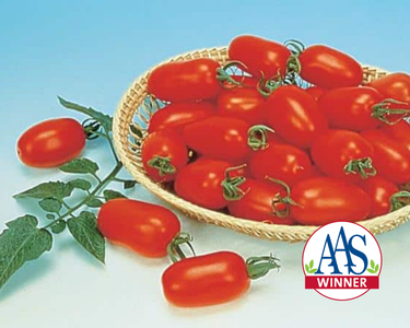Juliet Hybrid Tomato Seeds